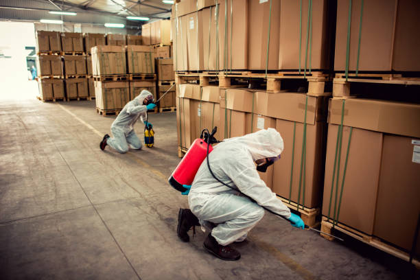 Best Termite Control Services  in Stroudsburg, PA