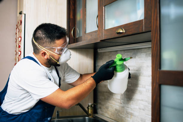 Best Flea Control Services  in Stroudsburg, PA