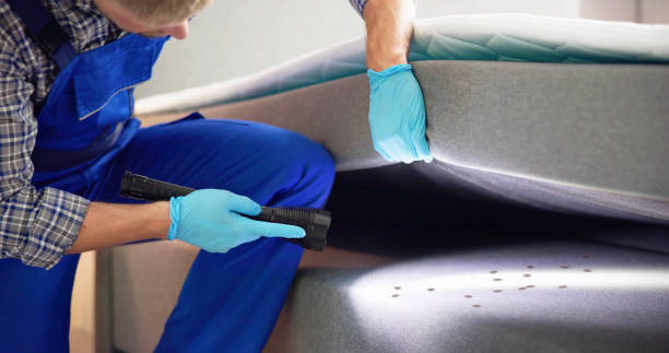 Best Rat Extermination Near Me  in Stroudsburg, PA